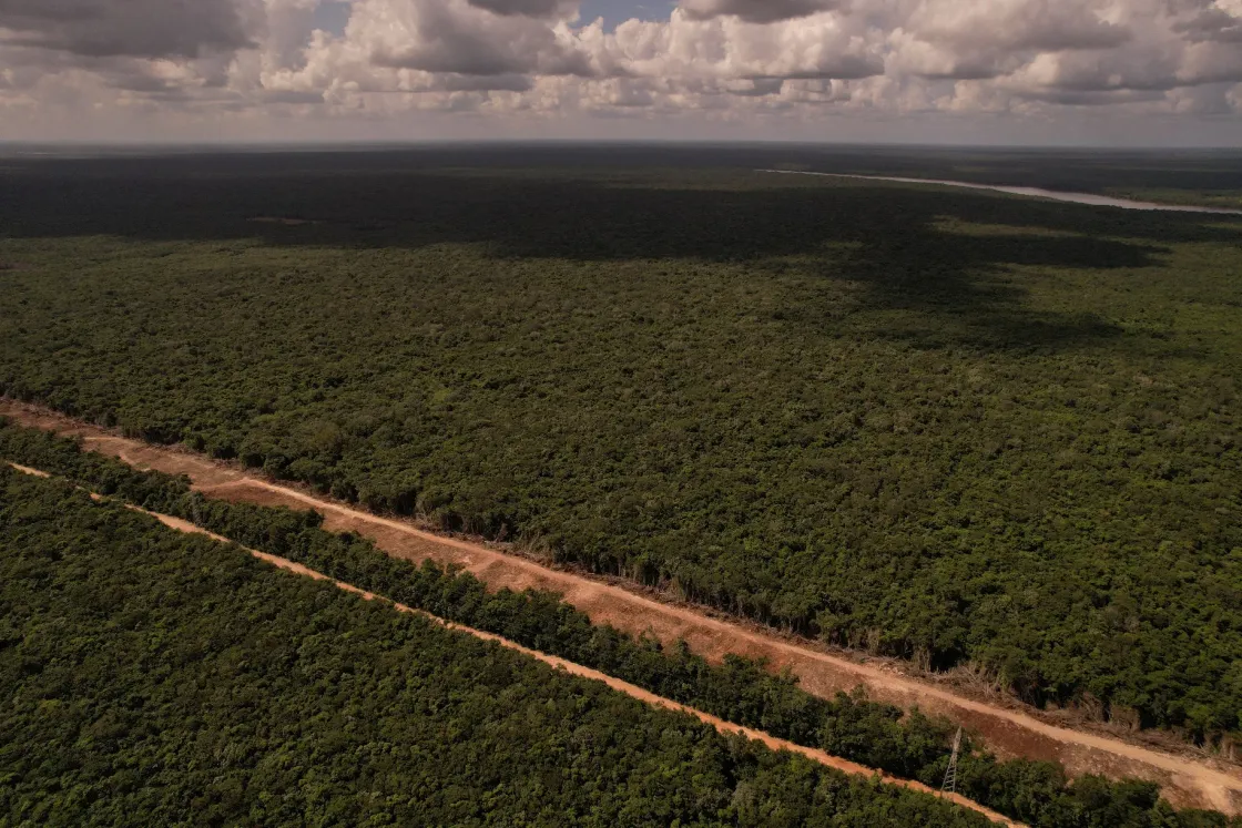 Kettészeli a dzsungelt az új mexikói vasútvonal, az embereknek reményt, a természetnek pusztulást hoz