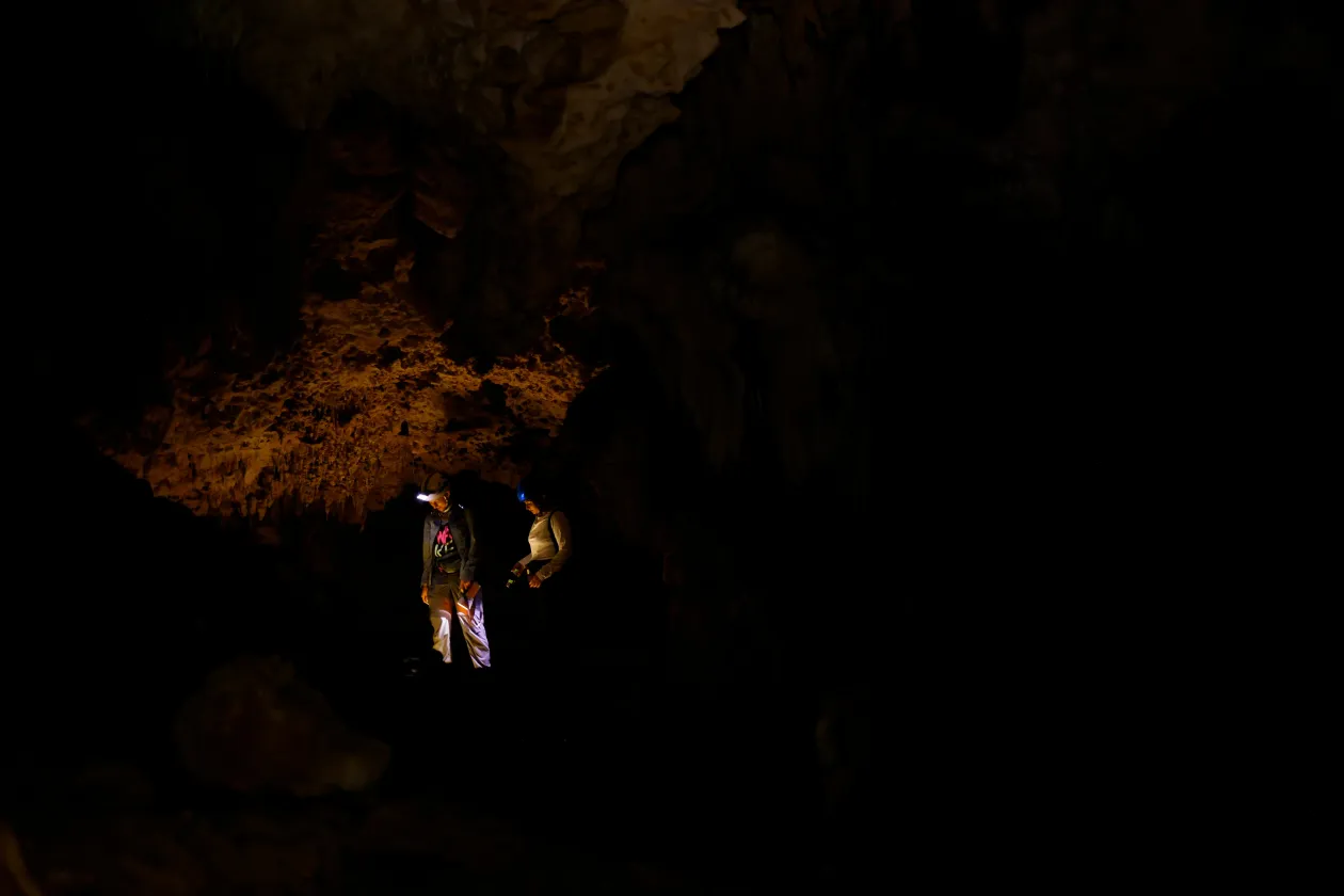 Denevérek repülnek ki egy barlangból, amely a Calakmul Bioszféra Rezervátumban található, közel ahhoz a helyhez, ahol az új maja vonatútvonal 7-es szakasza épül Calakmulban / Cristina Nolasco környezetvédelmi aktivista a Yorogana-barlangot vizsgálja, amelyet szerinte komolyan befolyásolna az új maja vonatútvonal építése – Fotó: Jose Luis Gonzalez / Reuters