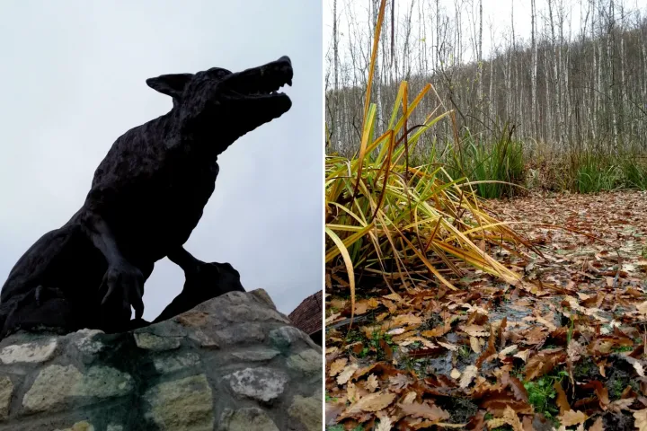 Fent: Szörnyű-völgy, lent: hucul ménes, alul: farkasember szobor Putnokon és a keleméri láp – Fotó: Tenczer Gábor / Telex