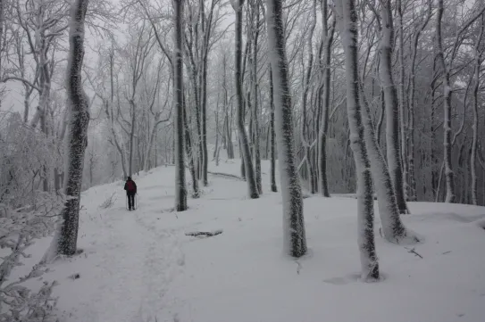 Megnéztük az optimális téli túrautat a Börzsöny hóbiztos tetejére