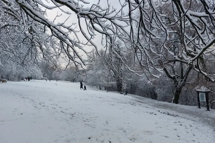 Annyi kiránduló érkezik a Normafához, hogy már a délelőtti órákban megtelt a parkoló