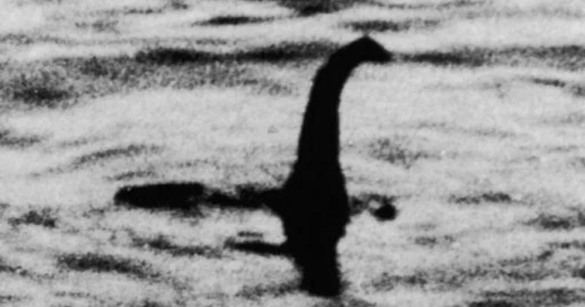 Nagyláb egy medve lehet, a Loch Ness-i szörny viszont valószínűleg nem egy hatalmas angolna