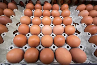 Annyira megdrágult a tojás az Egyesült Államokban, hogy Mexikóból csempészik be az amerikaiak