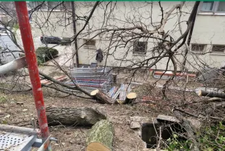 Rendőrséghez fordul Őrsi Gergely, mert a II. kerületi rendőrőrs felújításakor a szomszédos telek fáit is kivágták