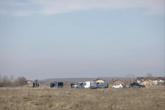 Szamártetemet őriztek egy cég udvarán, ezért támadtak Ana Orosra a kutyák Bukarest főpolgármestere szerint