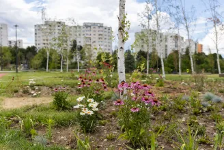 Városi kertekre és védett területek népszerűsítésére hirdet pályázatot a Polgár-Társ Alapítvány