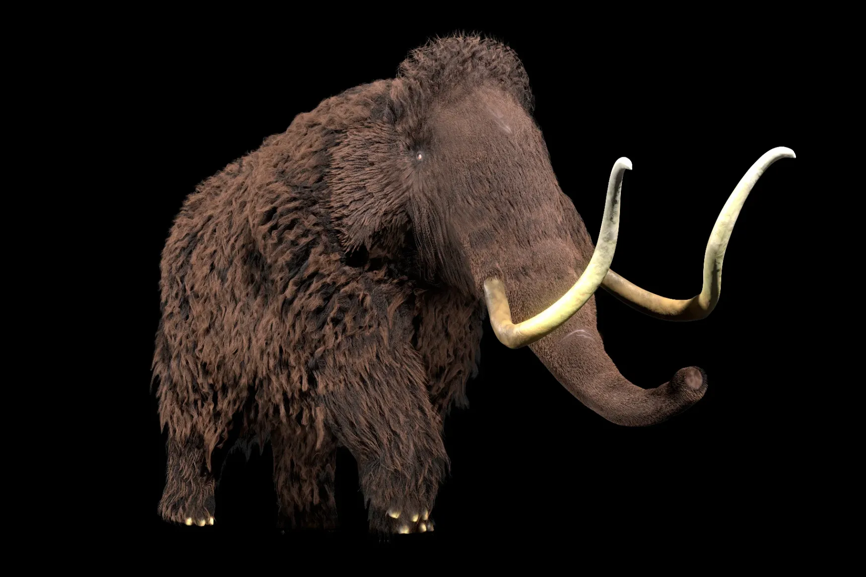 2027-re feltámasztanák a gyapjas mamutot, állítja egy dallasi cég