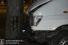 Bedrogozva, részegen vezette fának a lopott autót, majd fél év alatt még 14 bűncselekményt követett el egy siófoki fiú