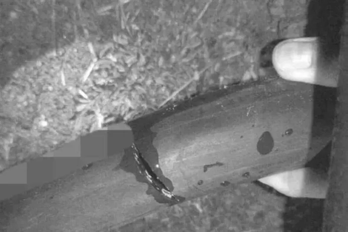 Eloltották az égő pincéjét, erre a károsult elvágta a tűzoltók tömlőjét