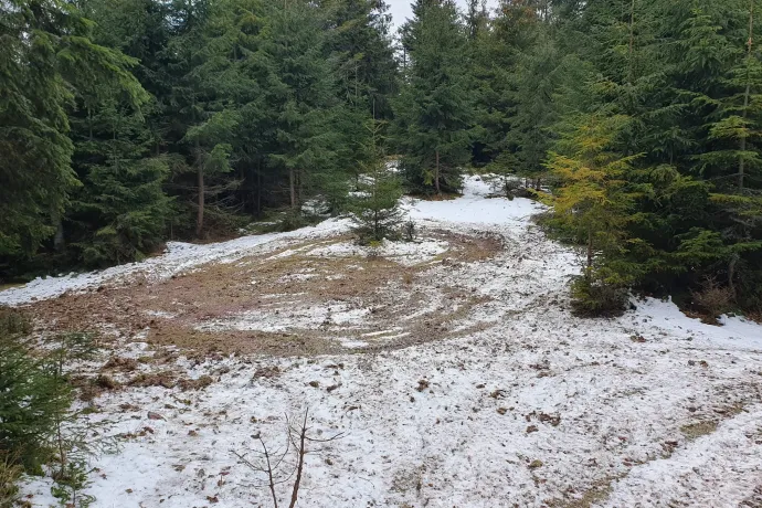 Nem jó ötlet védett területeken ATV-vel driftelni a hóban – ötezer lejre büntettek a parkőrök