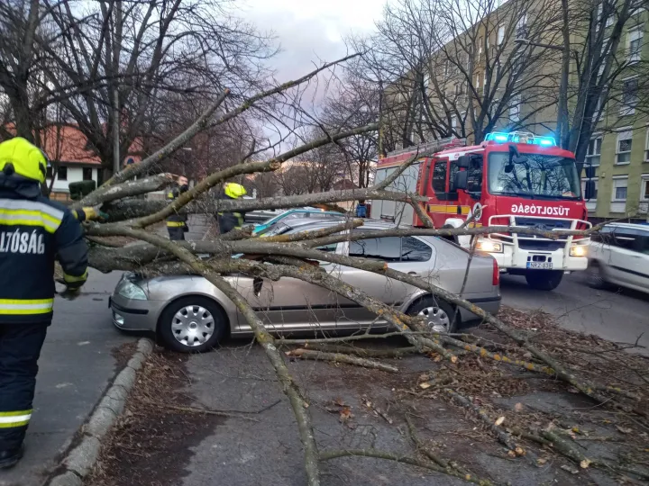Autó szorult egy gyökerestől kicsavart fa alá Kaposváron – Fotó: Katasztrófavédelem