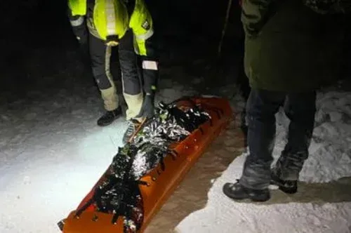 Városi cipőben, könnyű szövetnadrágban indult a Nagy-Hideg-hegyre, a hegyimentők hozták le