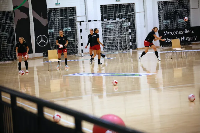 Kíméletlenül őszinte tanulmány mutatja meg, hogyan bánt a magyar sport a rá öntött állami százmilliárdokkal
