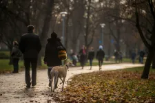 A Margitszigeten szétszórt mérgezett kutyatáp után nyomoz a rendőrség
