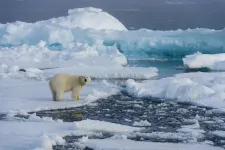 Súlyos a PFAS-vegyület szint a Norvég Sarkvidéken