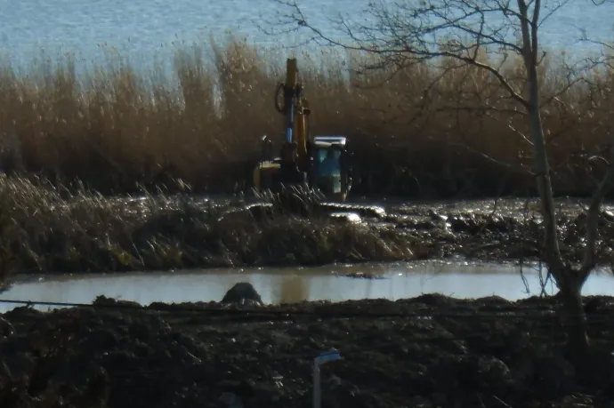 Első fokon felfüggesztett börtönt kaptak a balatonakali nádasirtók