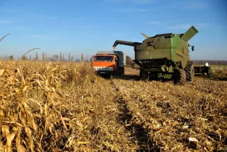 Míg Magyarország az olcsó liszt ellen lobbizik, az ukrán mezőgazdaság az életéért küzd