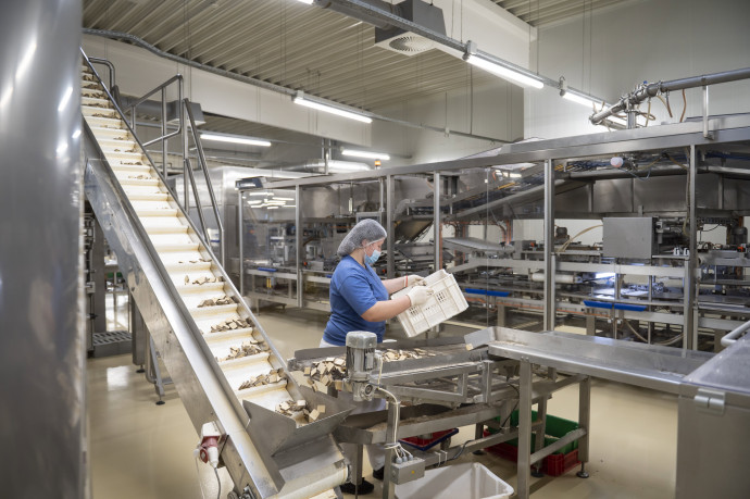 Eddig lenyelte a magyar ipar a megugró költségeket, de ennek hamarosan vége lehet