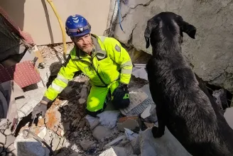 Folyamatosan hallottuk a gyereksírást, de nem tudtuk, honnan jön