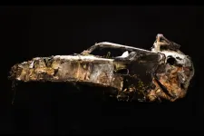 Egy kiégett roncs emlékeztet az első F1-kiállításon arra, hogy hatalmas balesetek is túlélhetők
