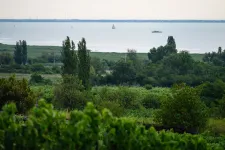 Egy több mint kétszáz méter hosszú móló épülne Csopakon, a polgármester felháborodott