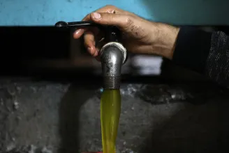 Nagyot emelkedhet az olívaolaj ára az aszály miatt