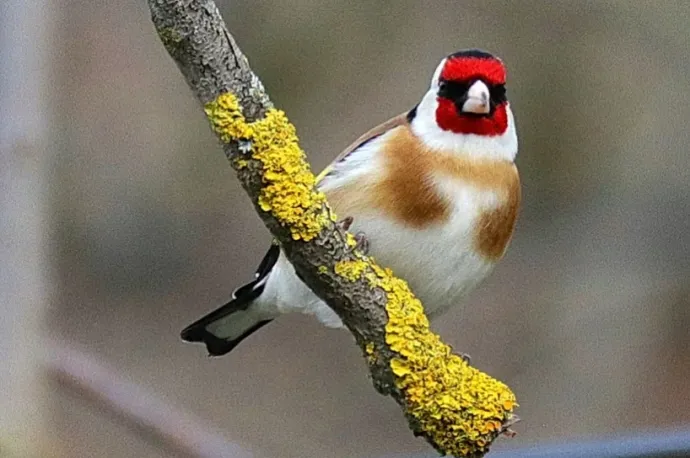 Napsütéssel, enyhe idővel köszönt be a meteorológiai tavasz