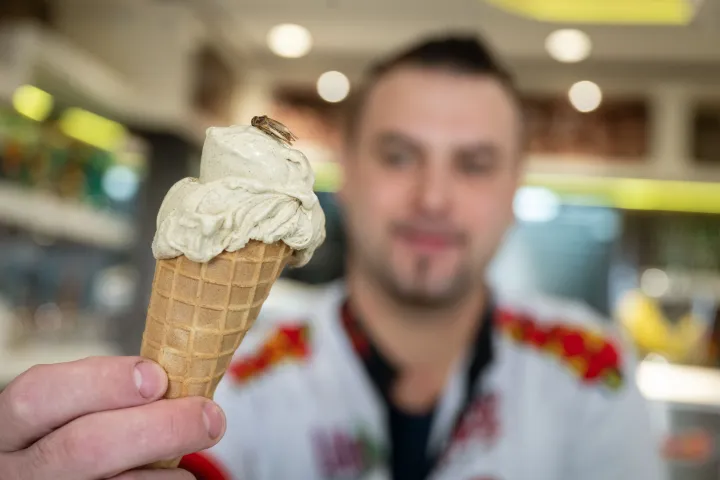 Tücsökfagylalt kapható Németországban