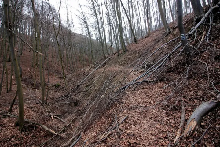 Fent: Kőárok, lent: Kőmosó-szurdok és a cseszneki vár – Fotó: Tenczer Gábor / Telex