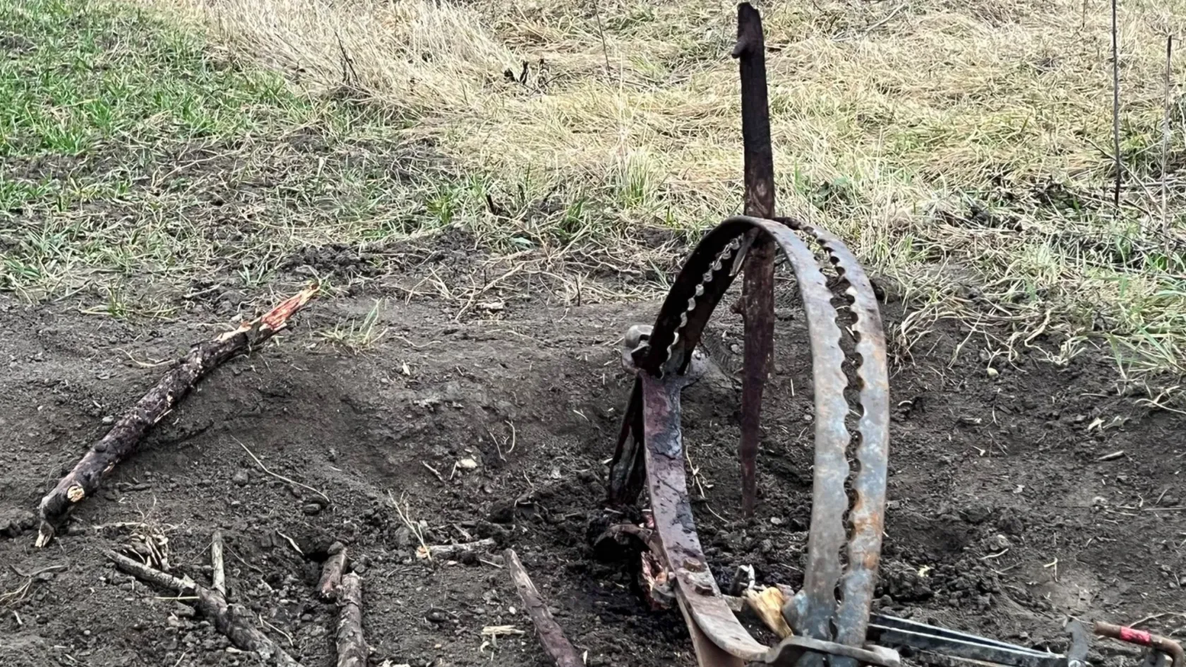 Majdnem megölt egy vizslát az ösvény mellé kihelyezett vadcsapda Ikrényben
