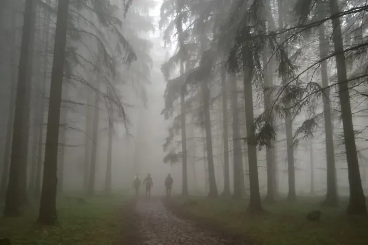 Fotó: Szlatki Gabriella