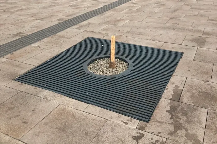 Tövénél törték ki a felújított Blaha Lujza tér egyik fáját