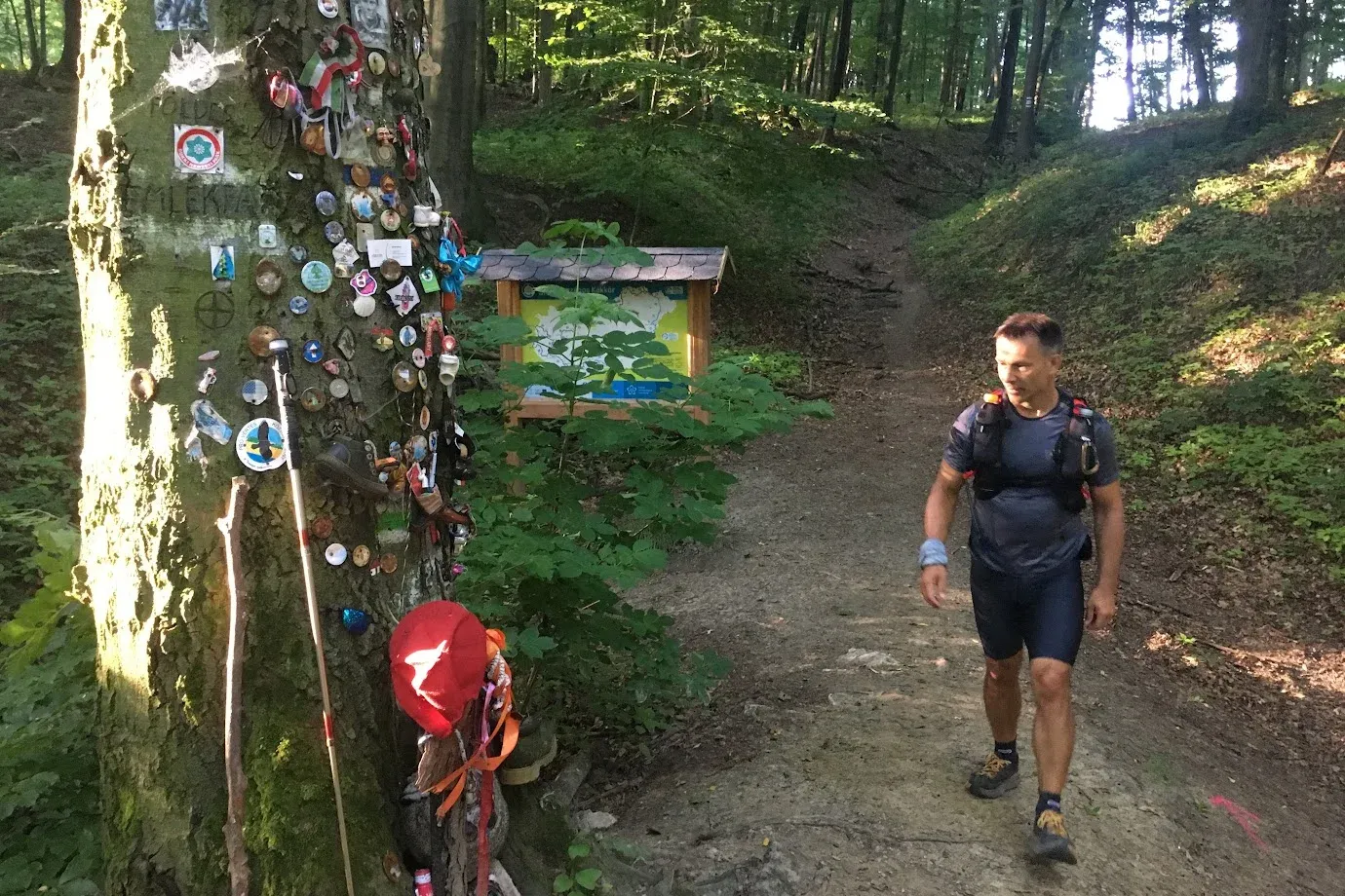 Vérkör: 77 km-es teljesítménytúra a vértesi kánikulában