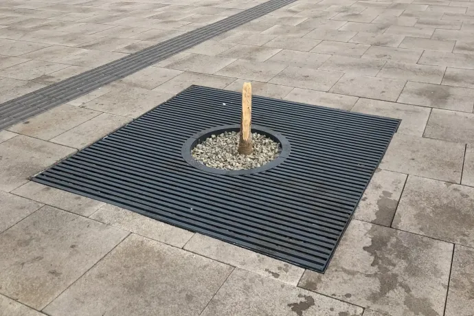 Jelentkezett a tettes, aki kitörte a Blaha Lujza tér egyik fáját