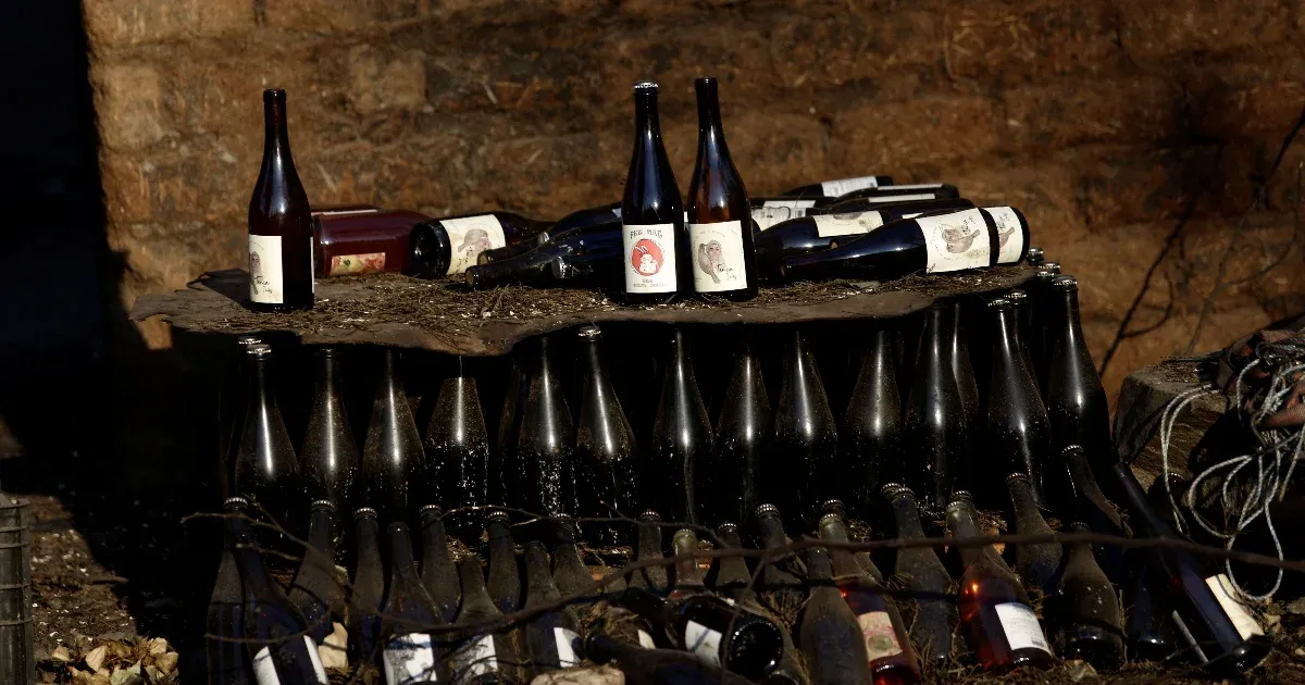 A couple in Spain stole €1.6 million worth of wine