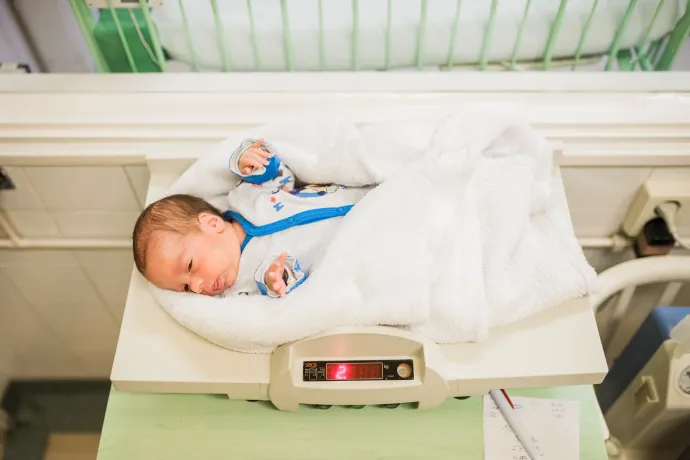 A Dominik a legnépszerűbb fiúnév, a Hanna pedig a legnépszerűbb lánynév