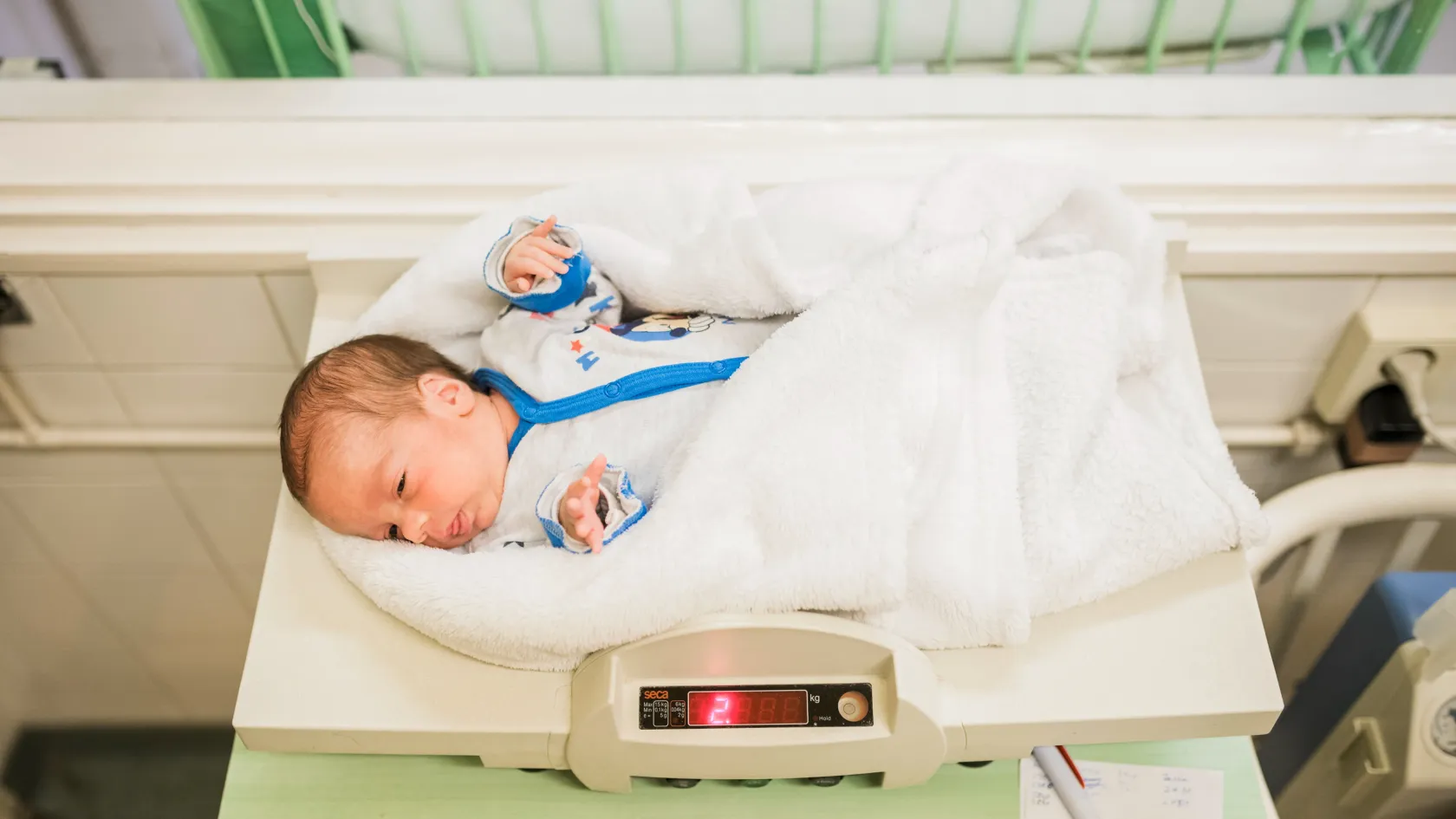 A Dominik a legnépszerűbb fiúnév, a Hanna pedig a legnépszerűbb lánynév