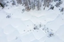 Egy vírus eddig a permafroszt alatt hibernált, most zombiként élesztették újra