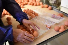 Egy év alatt harmadával drágult a tojás Romániában