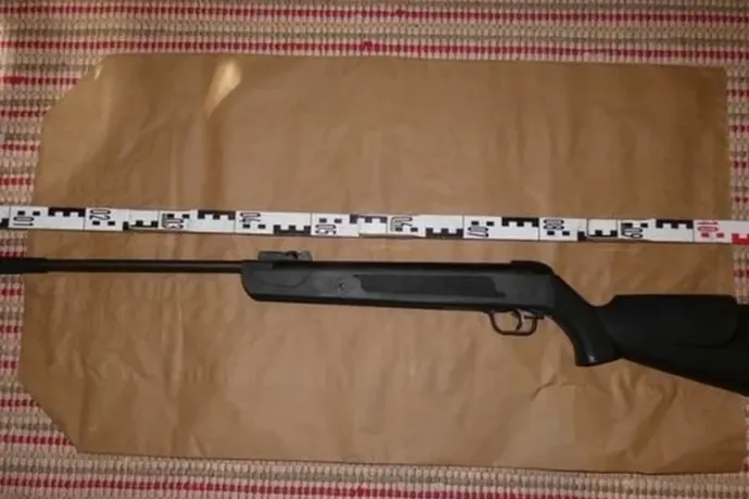 Nemes egyszerűséggel letörte a rá fogott puskacsövet a kányási asszony