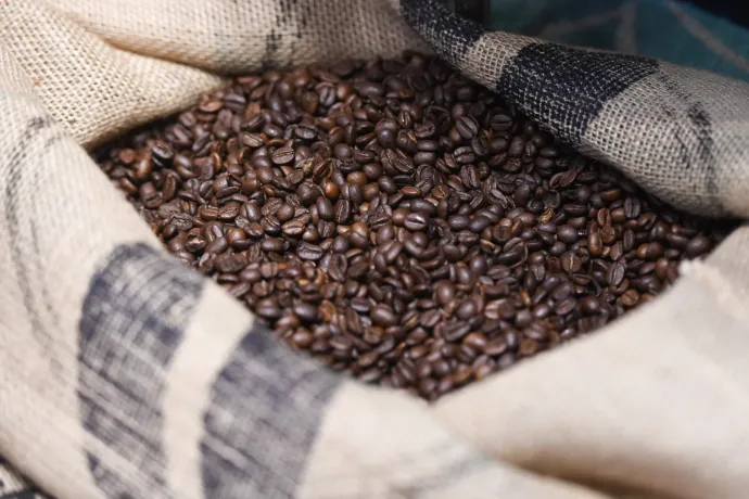 A globális kávéellátás már most veszélyben van