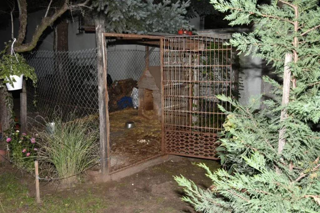 Kennelből kiszökött kutya támadt egy biciklisre Bács-Kiskun Vármegyében