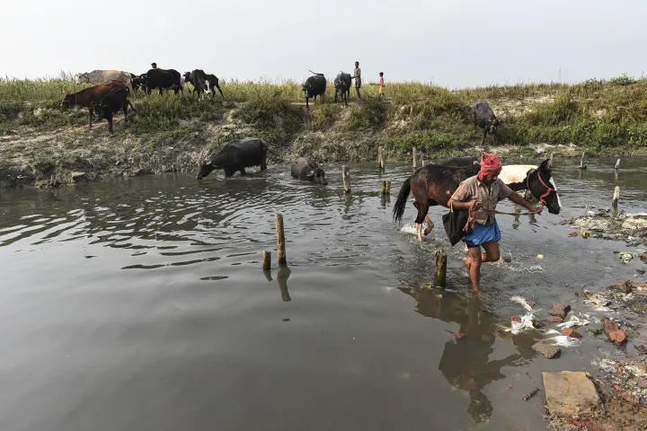 Fotó: Amar Deep Sharma / AFP; Amarjeet Kumar Singh / Getty Images