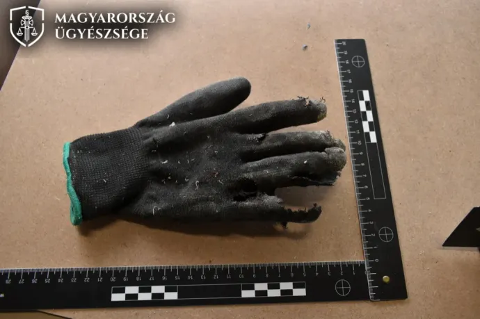 Magára hagyta a fűrészgéppel a tanítványát, akinek négy ujja is csonkolódott egy rossz mozdulattól