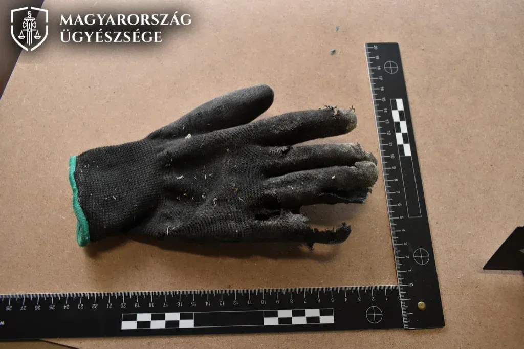 Magára hagyta a fűrészgéppel a tanítványát, akinek négy ujja is csonkolódott egy rossz mozdulattól