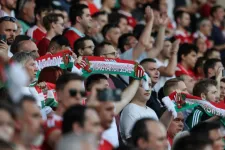 Hungarian Football Federation responds to UEFA: There is no controversy over the historic symbols