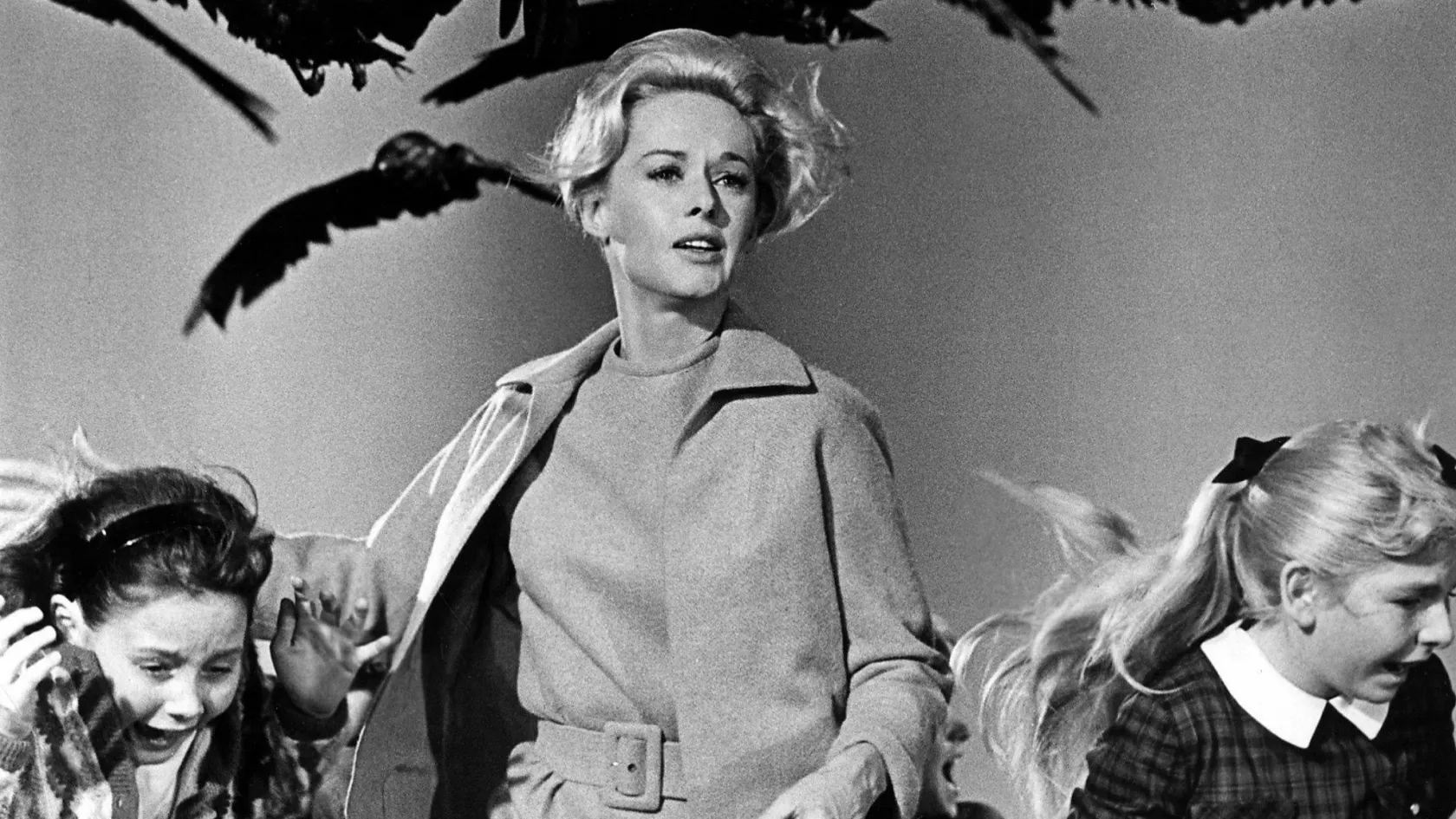 Ahogy néznek a gonosz szemeikkel, ahogy kaparásznak a csőrükkel, szinte érzem, ahogy koppannak a fejemen