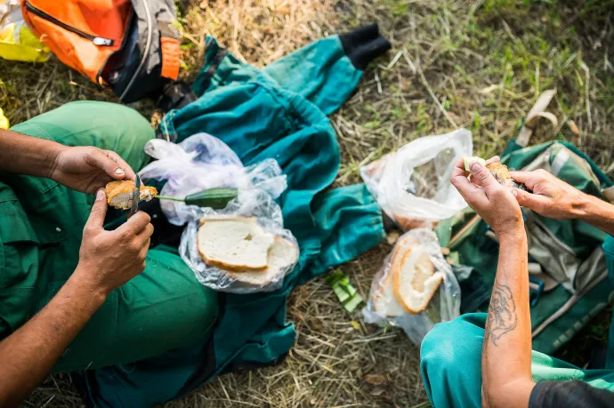 15 ezerrel nőtt a munkanélküliek száma az elmúlt egy évben