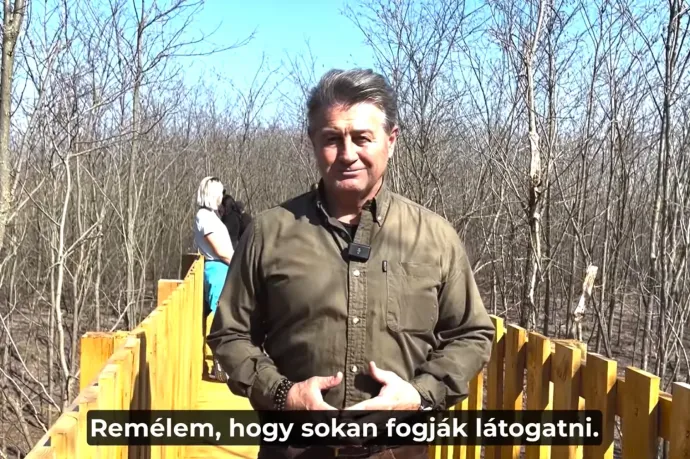 Fideszes politikusok magánerdeiben bukkantak fel újabb lombkoronasétányok