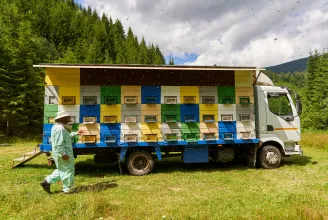 Az olcsó ukrajnai és a hamisított kínai méz tönkrevágja a hazai méhészetet